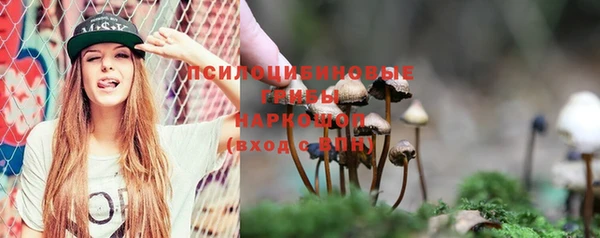 стафф Алексеевка